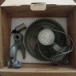 Image 4