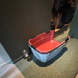 Image 6