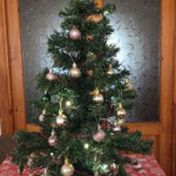 Image 4