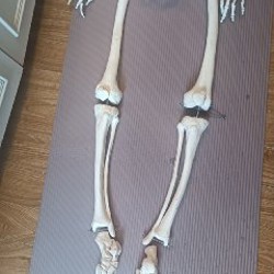 Image 10