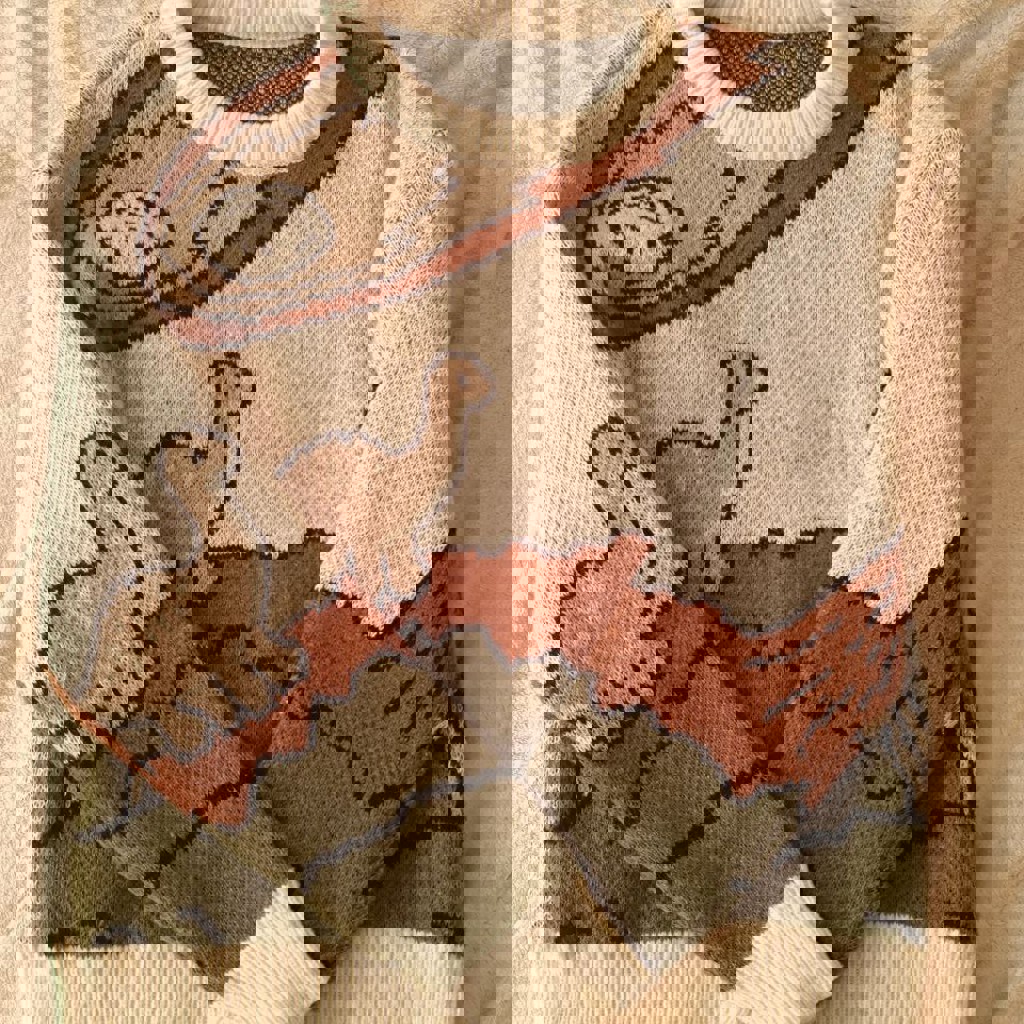 Свитер с динозаврами