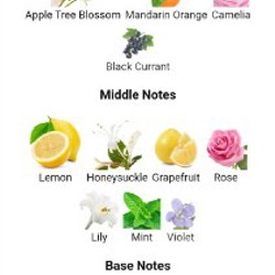 Tommy Girl - фото 3