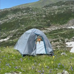 Походная палатка зеленого цвета - фото 1