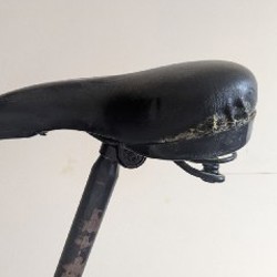 Велосипед Phillips - фото 4