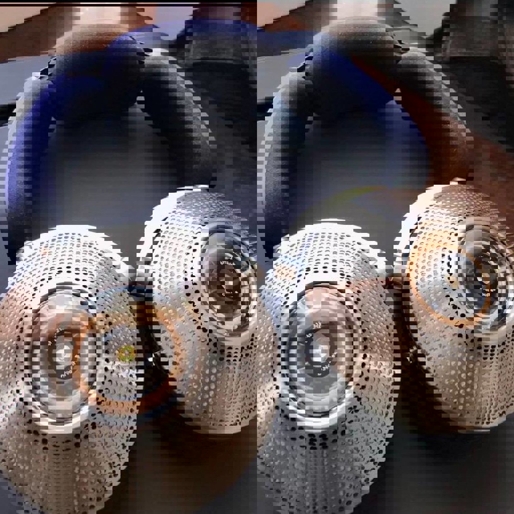 Dyson Zone Absolute +