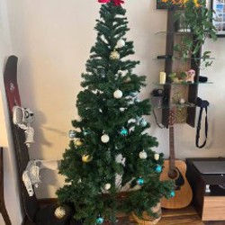 Елка маленькая - фото 1