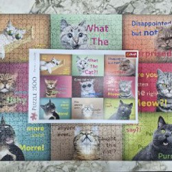 Мона Лиза - фото 5