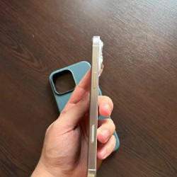 Макс - фото 2