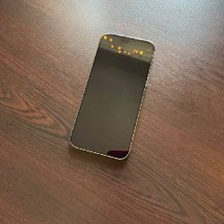 Макс - фото 5