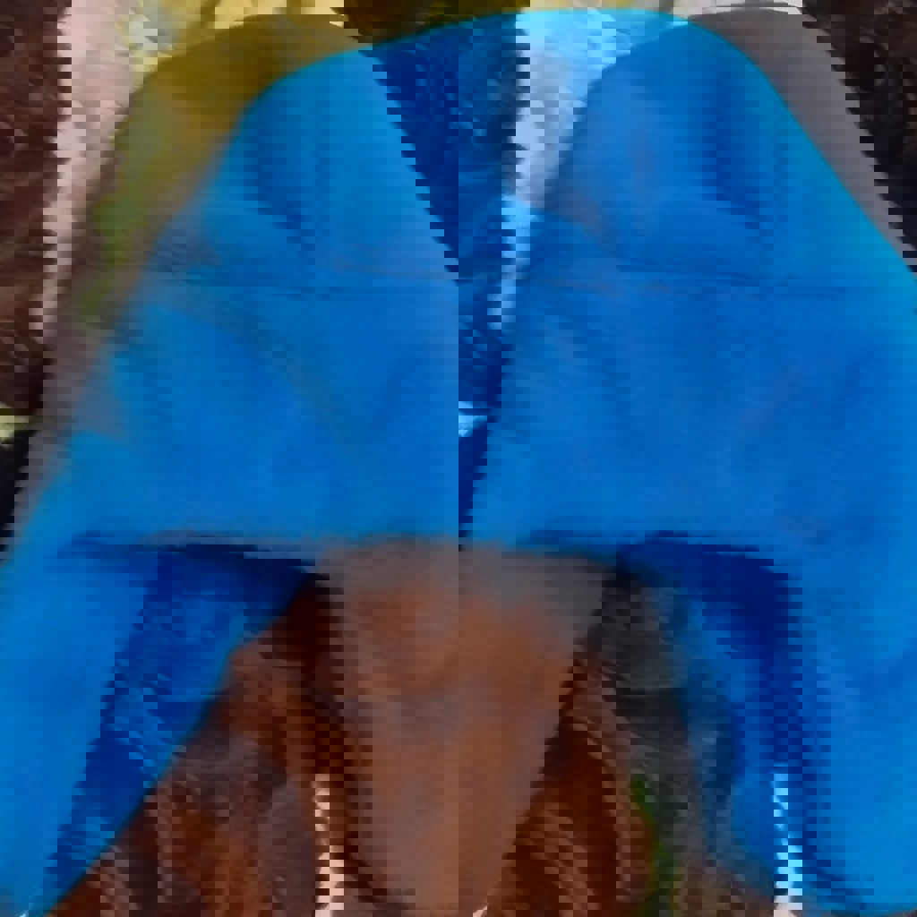 Ушанка синяя