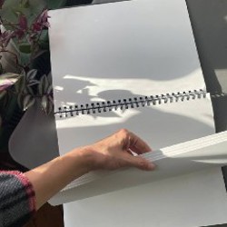 Монстера 1,5 метра - фото 4