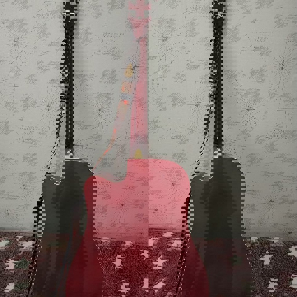 Акустическая гитара Washburn