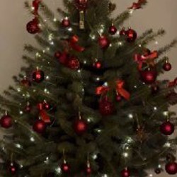 Костюм Чипа - фото 5