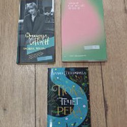 История любовных похождений одинокой женщины - фото 3