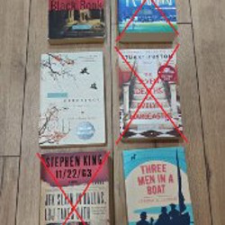 История любовных похождений одинокой женщины - фото 4