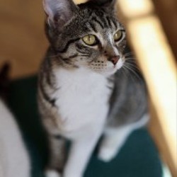 Чухлома - фото 2