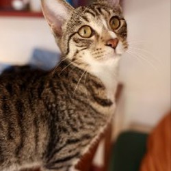 Чухлома - фото 3