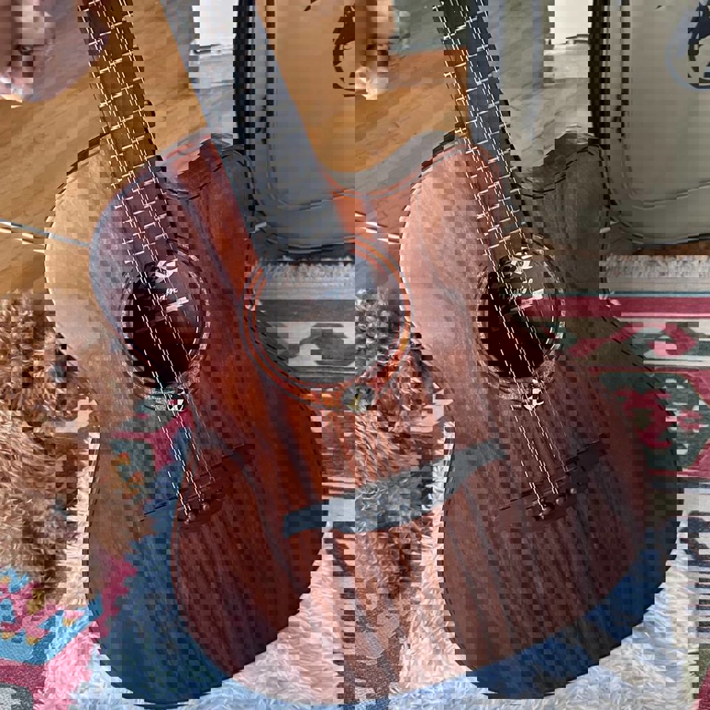 Электро-акустическая гитара GLA SAUVAGE ACE