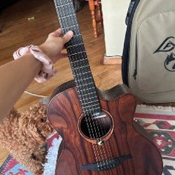 Электро-акустическая гитара GLA SAUVAGE ACE - фото 5