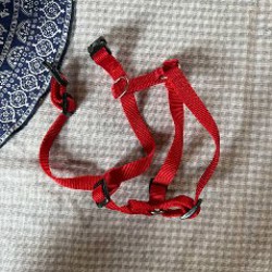 Рулетка xs - фото 2