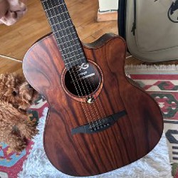 Электро-акустическая гитара GLA SAUVAGE ACE - фото 2