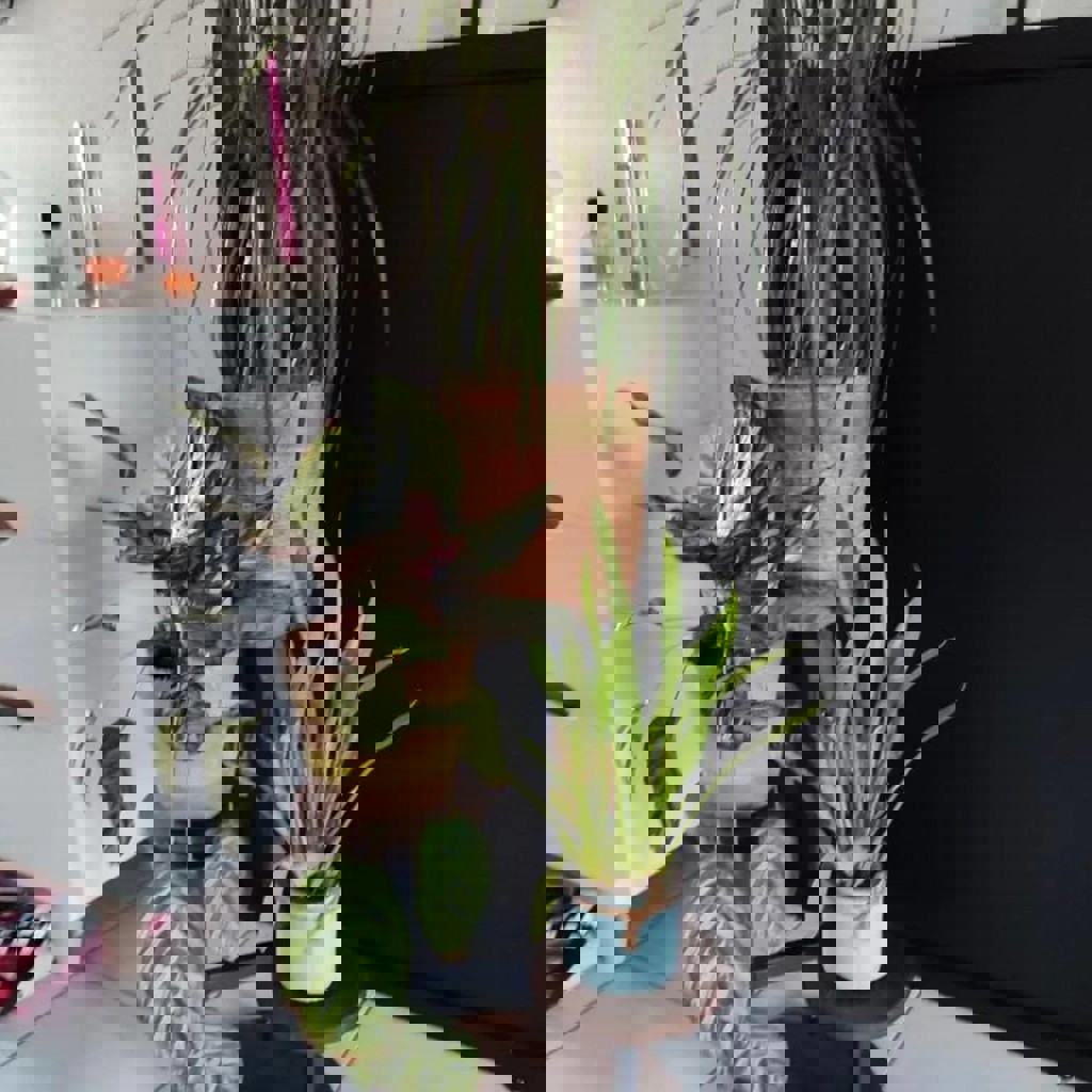 Подставка для растений