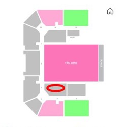 Билеты на концерт Тилля Линдеманна - фото 2