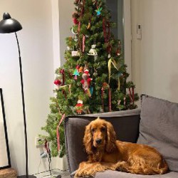 Искусственная новогодняя елка JYSK - фото 4