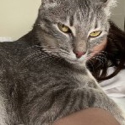 Корм для щенков - фото 3