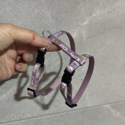 Шлейка для котенка - фото 3