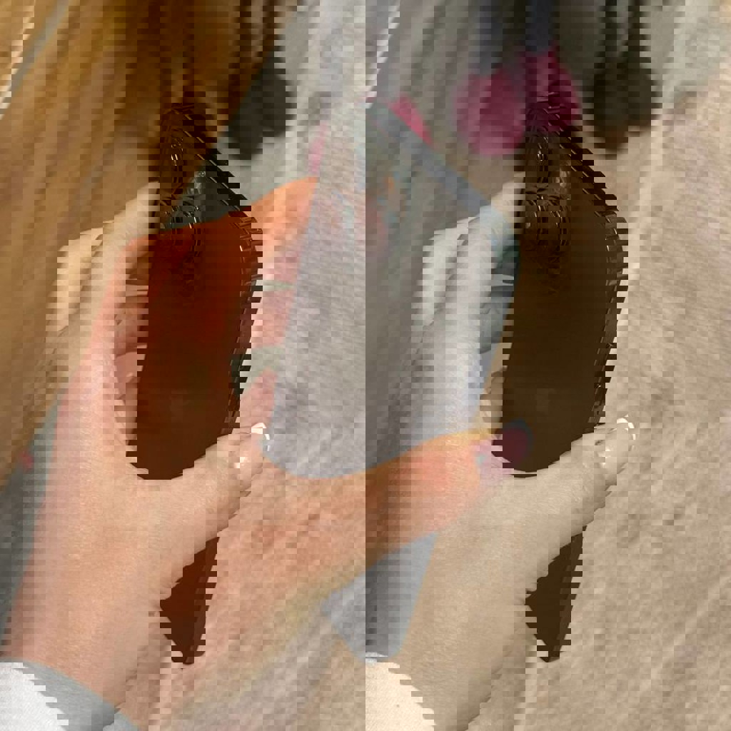 IPhone 13 Pro Max 256