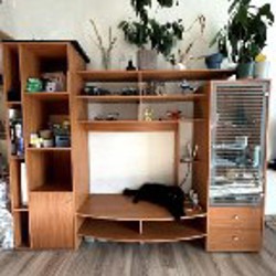 Телевизор Sony Bravia - фото 4