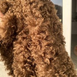 Шуба оверсайз - фото 3