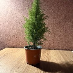 Осушитель воздуха - фото 7