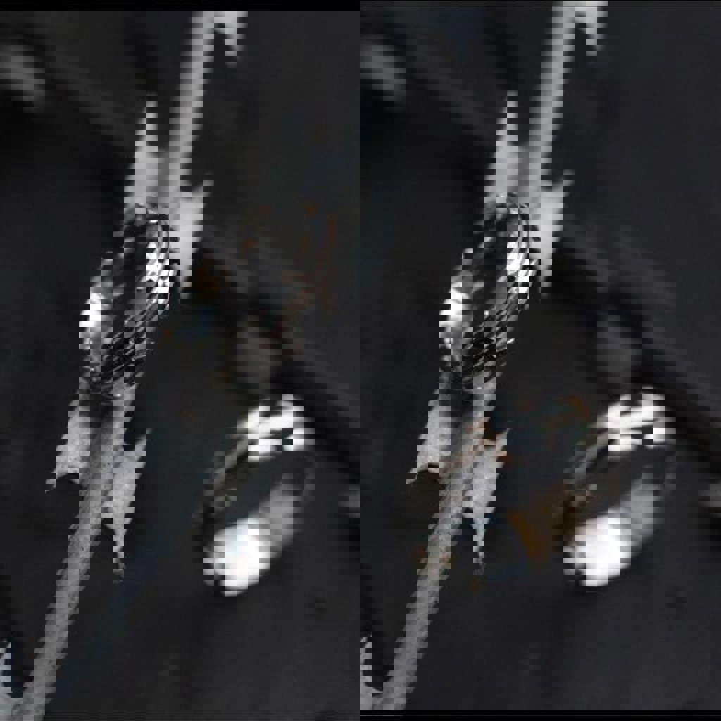 Кольцо Егоза