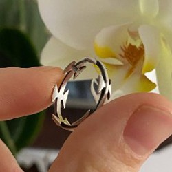 Кольцо Егоза - фото 5