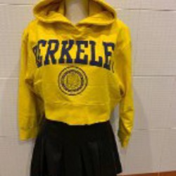 Бархатная юбка - фото 2