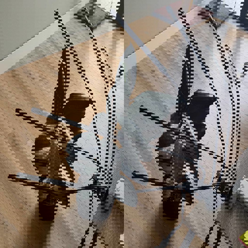 Лампа для комнатных растений