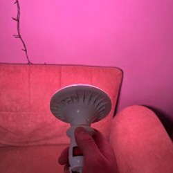 Фитолампа - фото 3