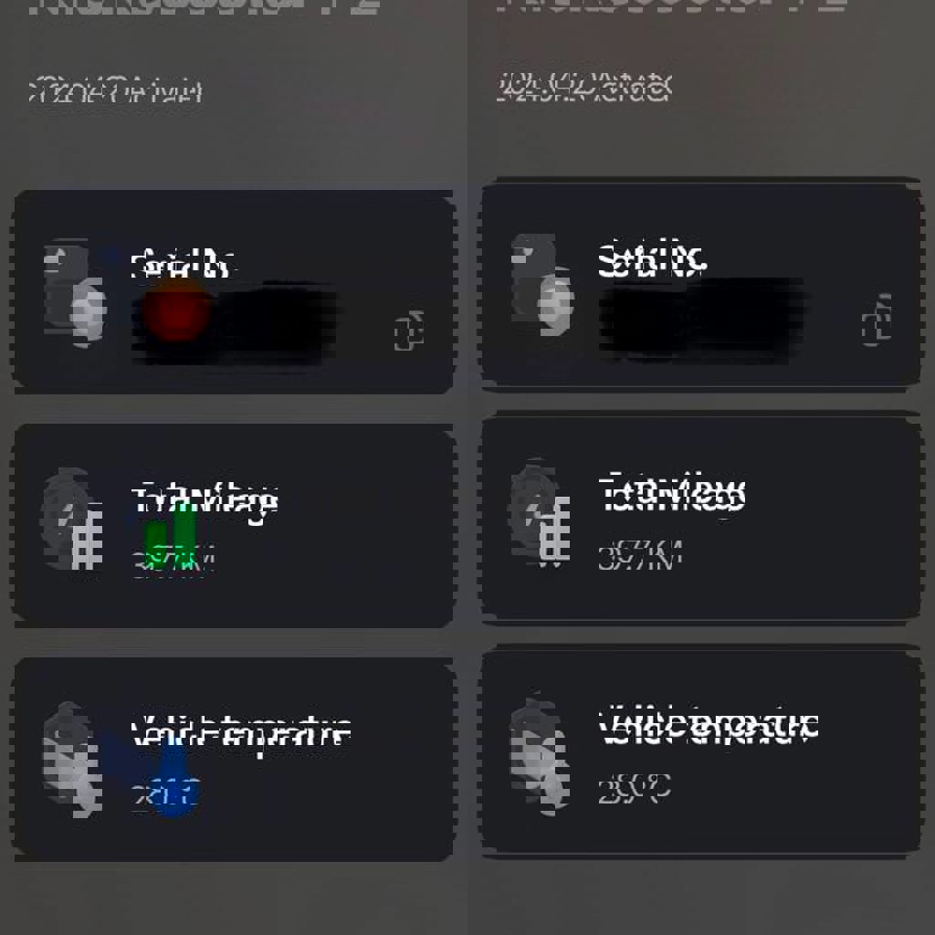 Электросамокат Segway Ninebot F2