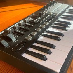 M-Audio Oxygen Pro Mini - фото 2