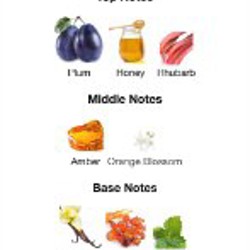 Perfect elixir - фото 2