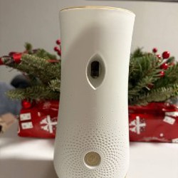 Новая книга - фото 1