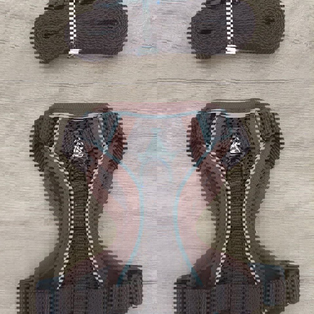 Шлейка для кошек и собак