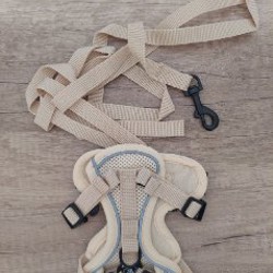 Шлейка для кошек и собак - фото 2