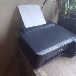 Epson L1250 Ecotank - фото 3