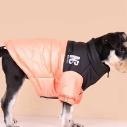 Розовая куртка аля North Face - фото 1