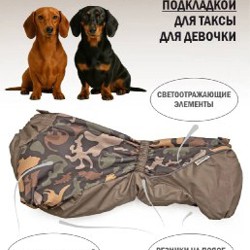 Розовая куртка аля North Face - фото 4