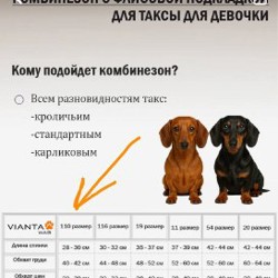 Розовая куртка аля North Face - фото 5