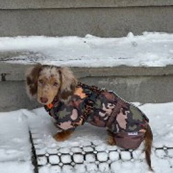 Розовая куртка аля North Face - фото 6